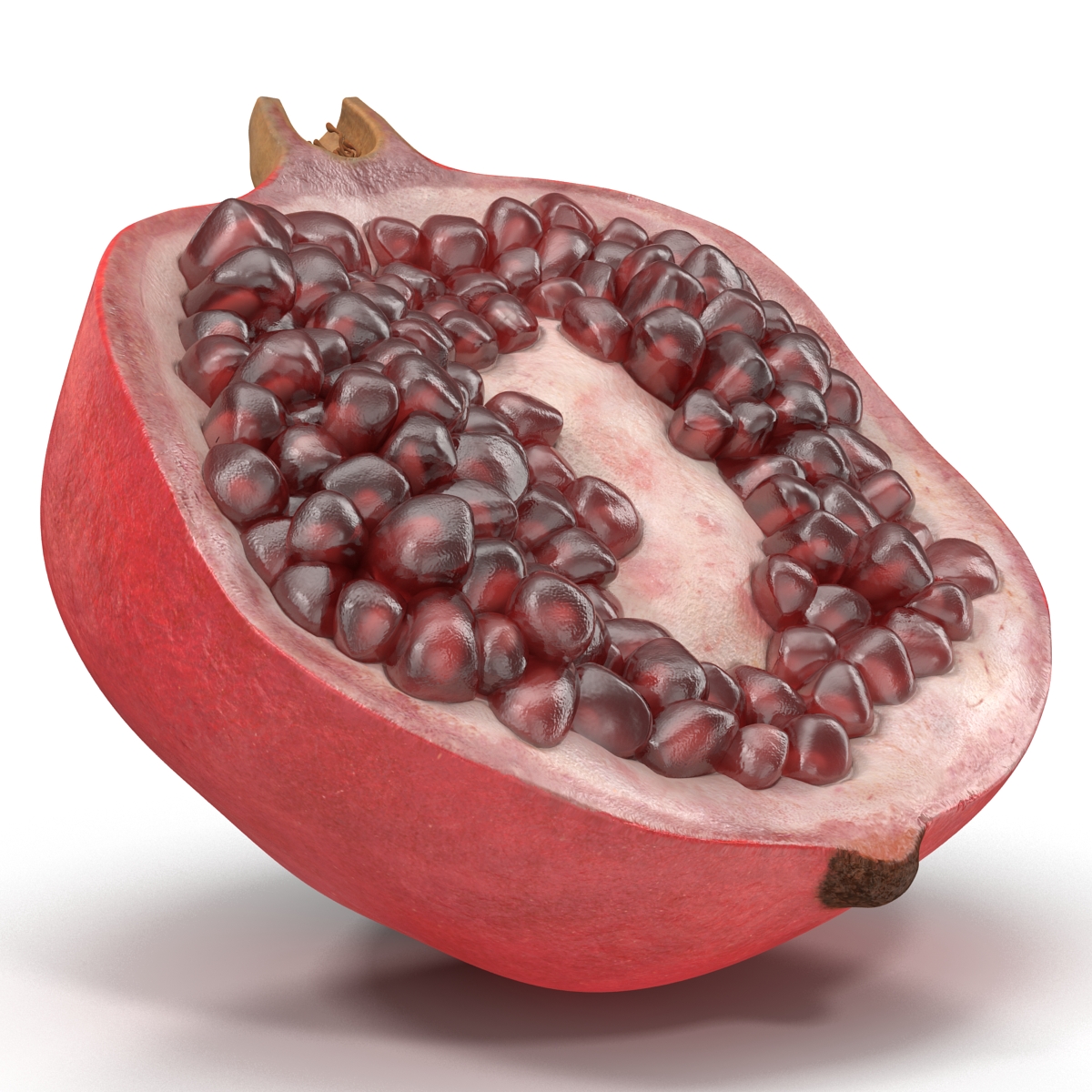 Pomegranate Cross Section 3 3D