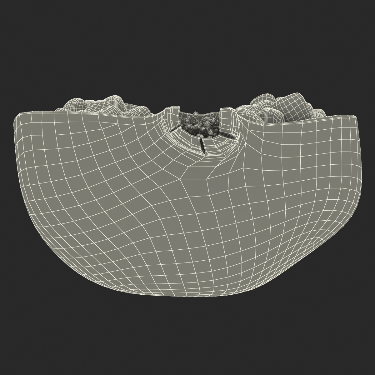 Pomegranate Cross Section 3 3D