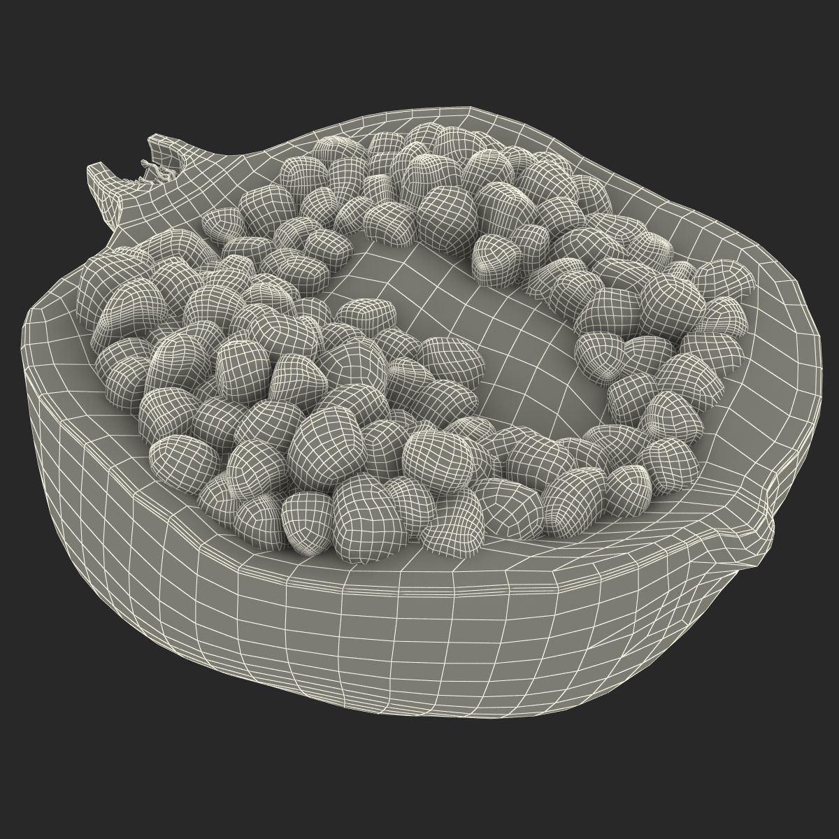 Pomegranate Cross Section 3 3D