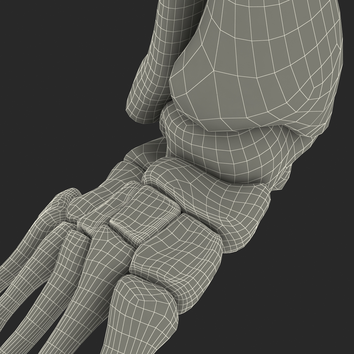 Human Skeleton Foot 3D model