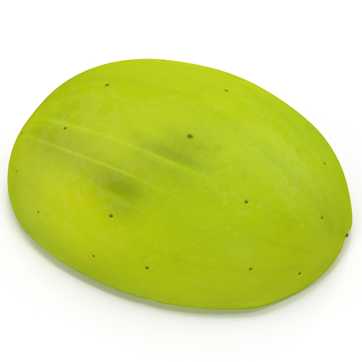 3D model Green Grape Cross Section