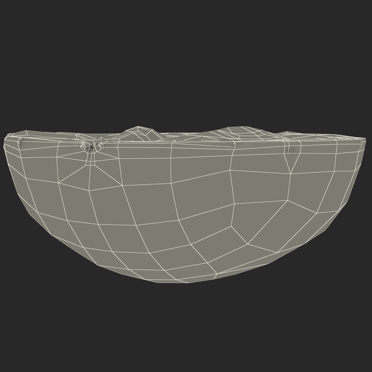 Green Grape Cross Section 3 3D