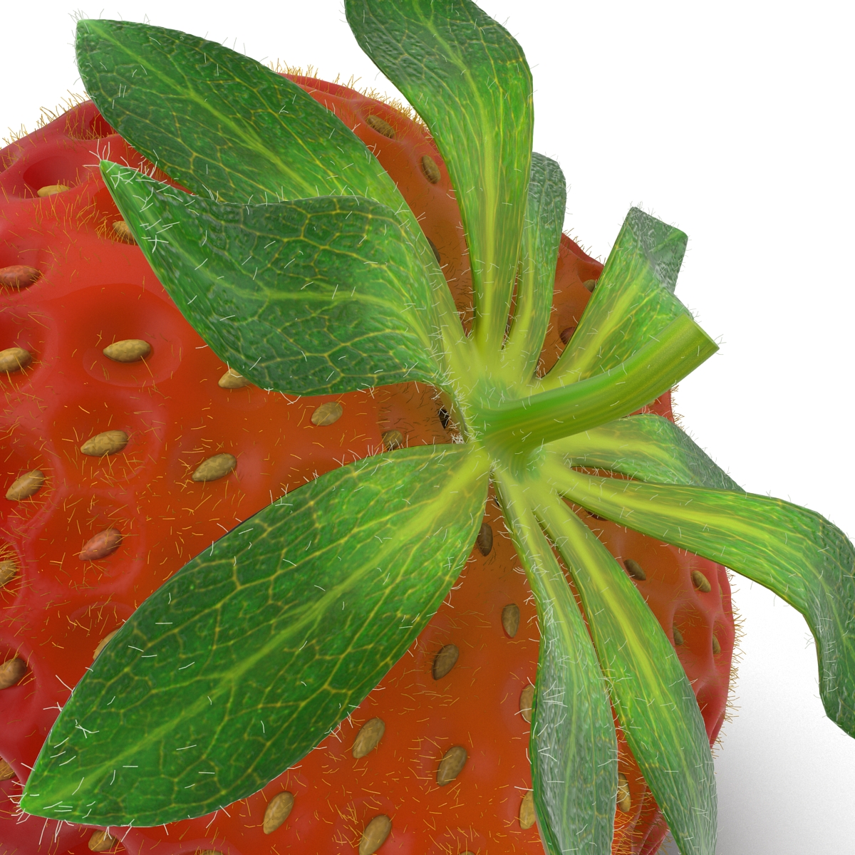 3D model Strawberry