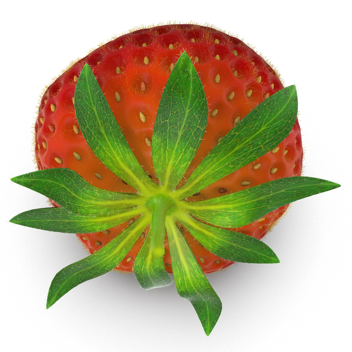 3D model Strawberry