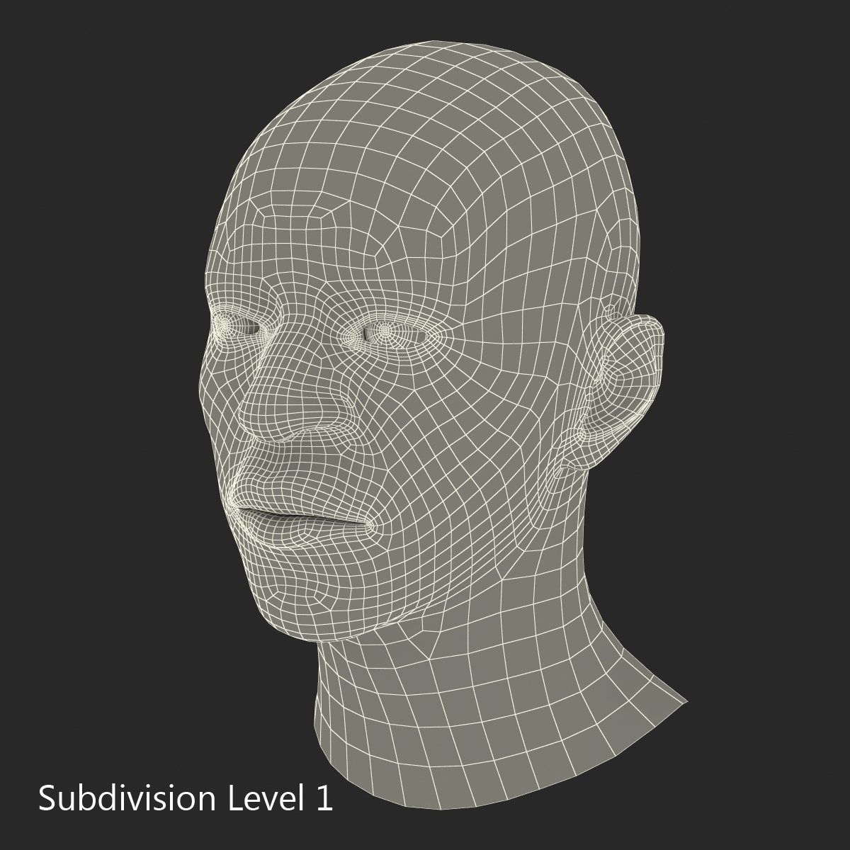 3D African American Male Head 2 model