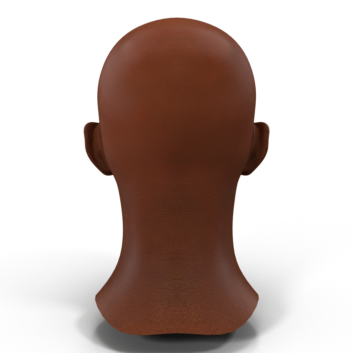 3D African American Male Head 2 model