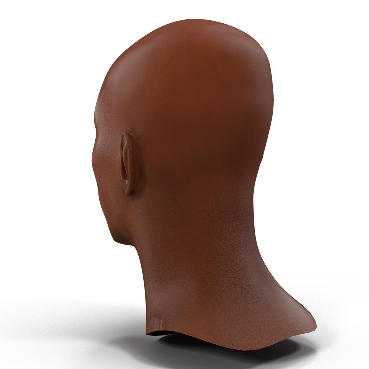 3D African American Male Head 2 model