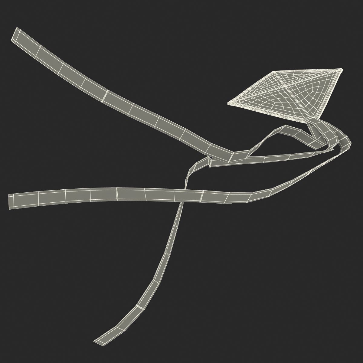 3D model Kite 2