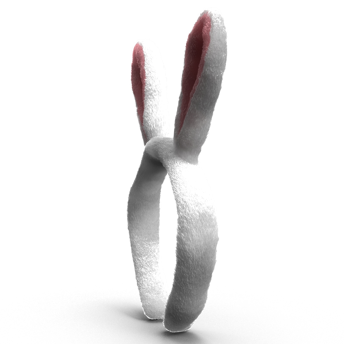 Bunny Ears with Fur 3D model