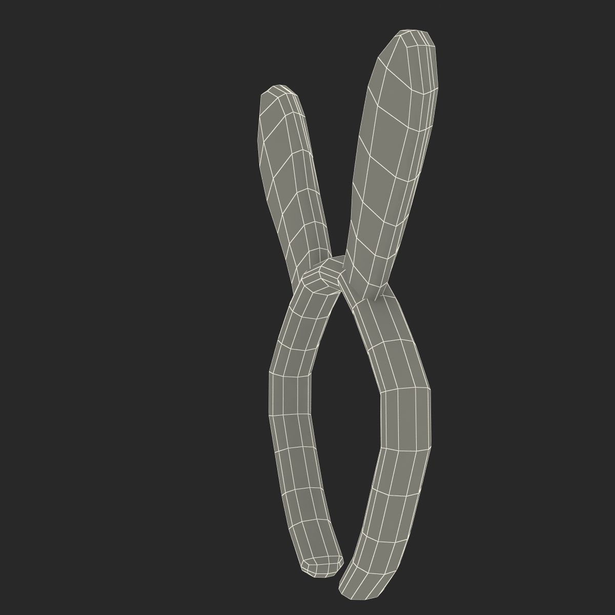 Bunny Ears with Fur 3D model