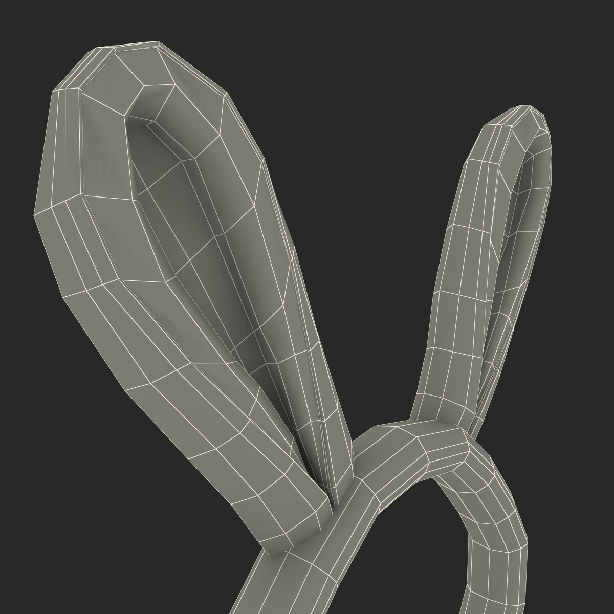 Bunny Ears with Fur 3D model