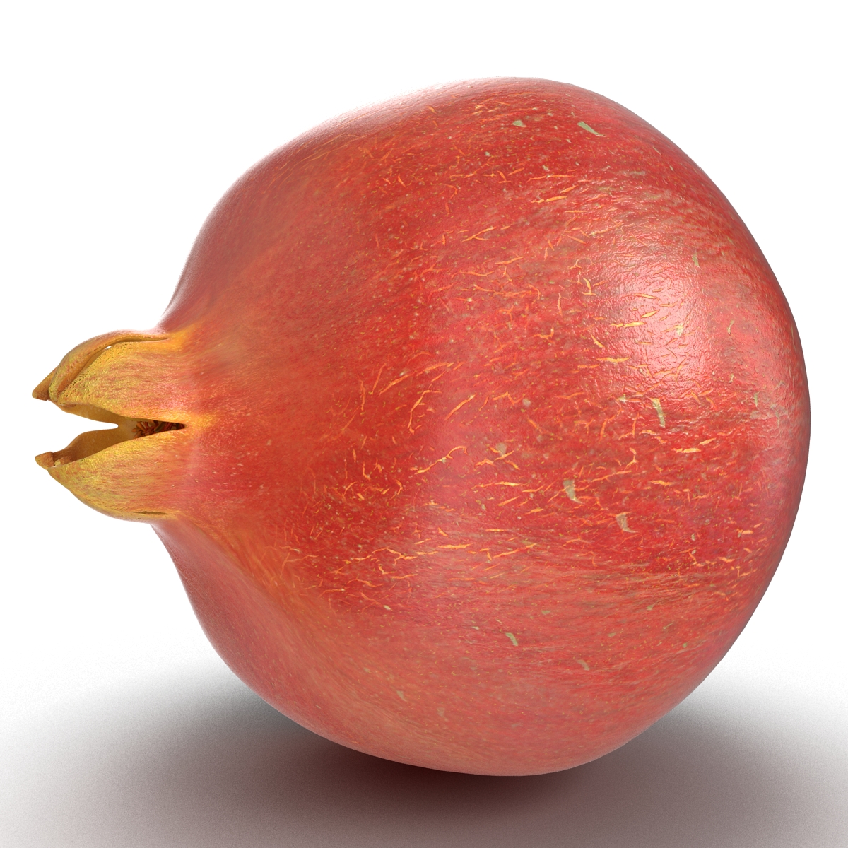 3D Pomegranate 2 model