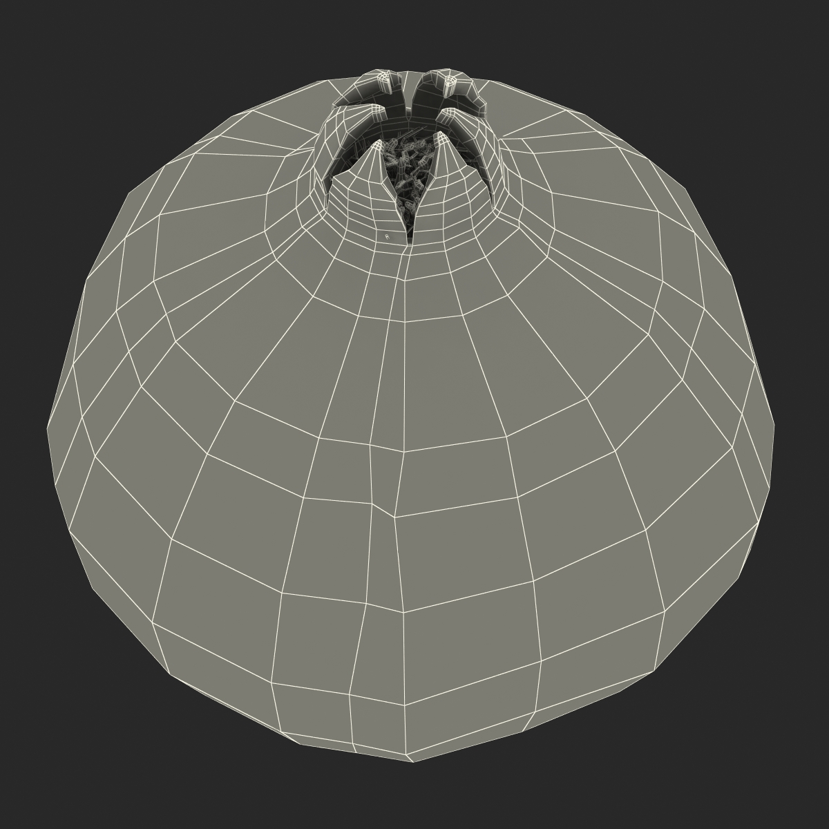 3D Pomegranate 2 model