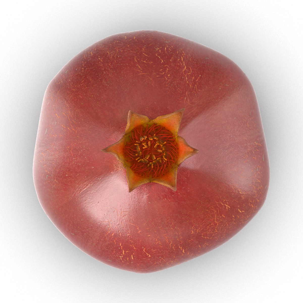 3D Pomegranate 3 model