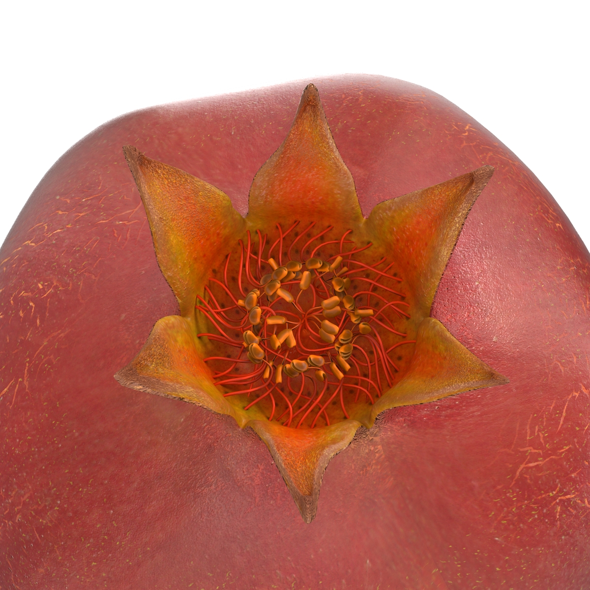 3D Pomegranate 3 model