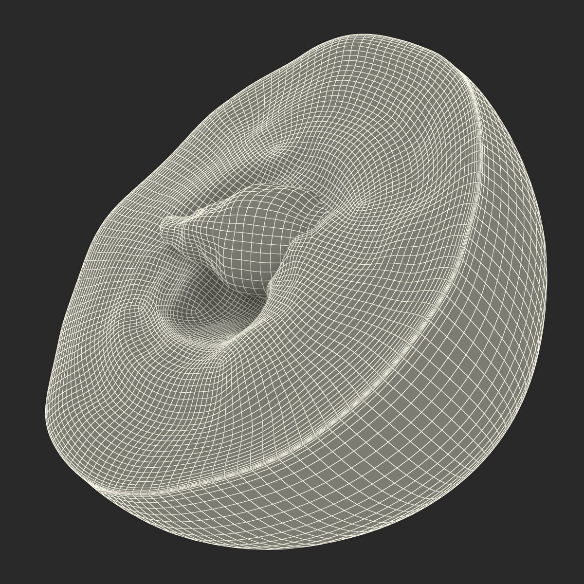 3D model Red Grape Cross Section 2