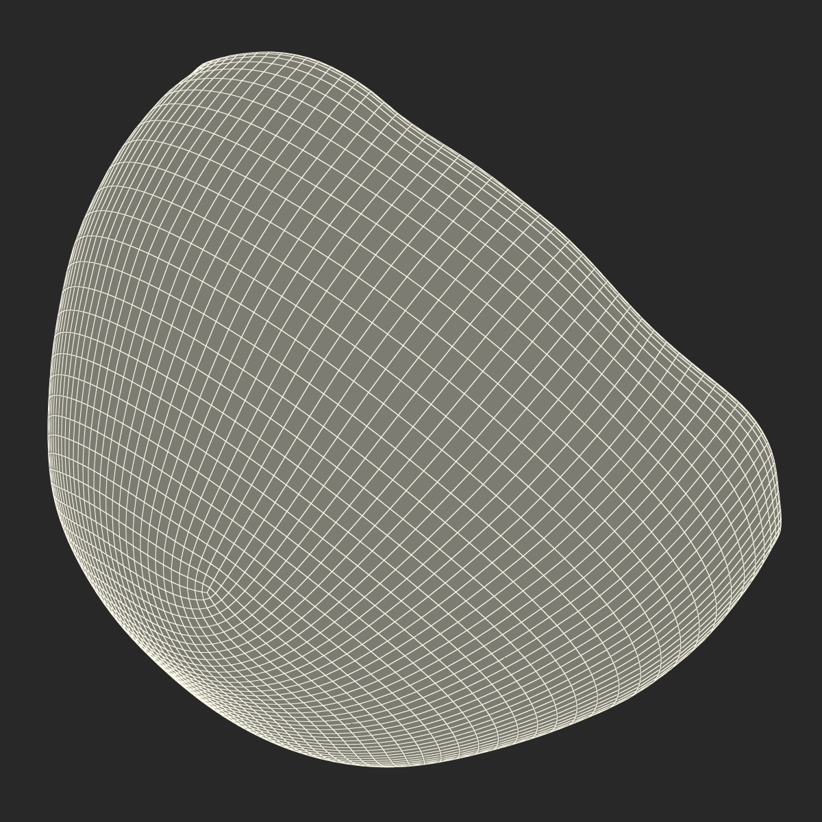 3D model Red Grape Cross Section 2