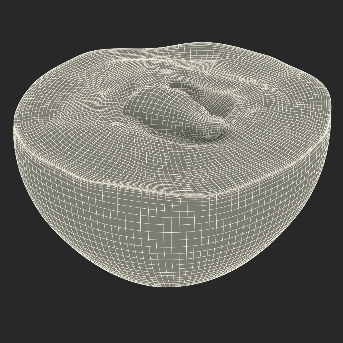 3D model Red Grape Cross Section 2