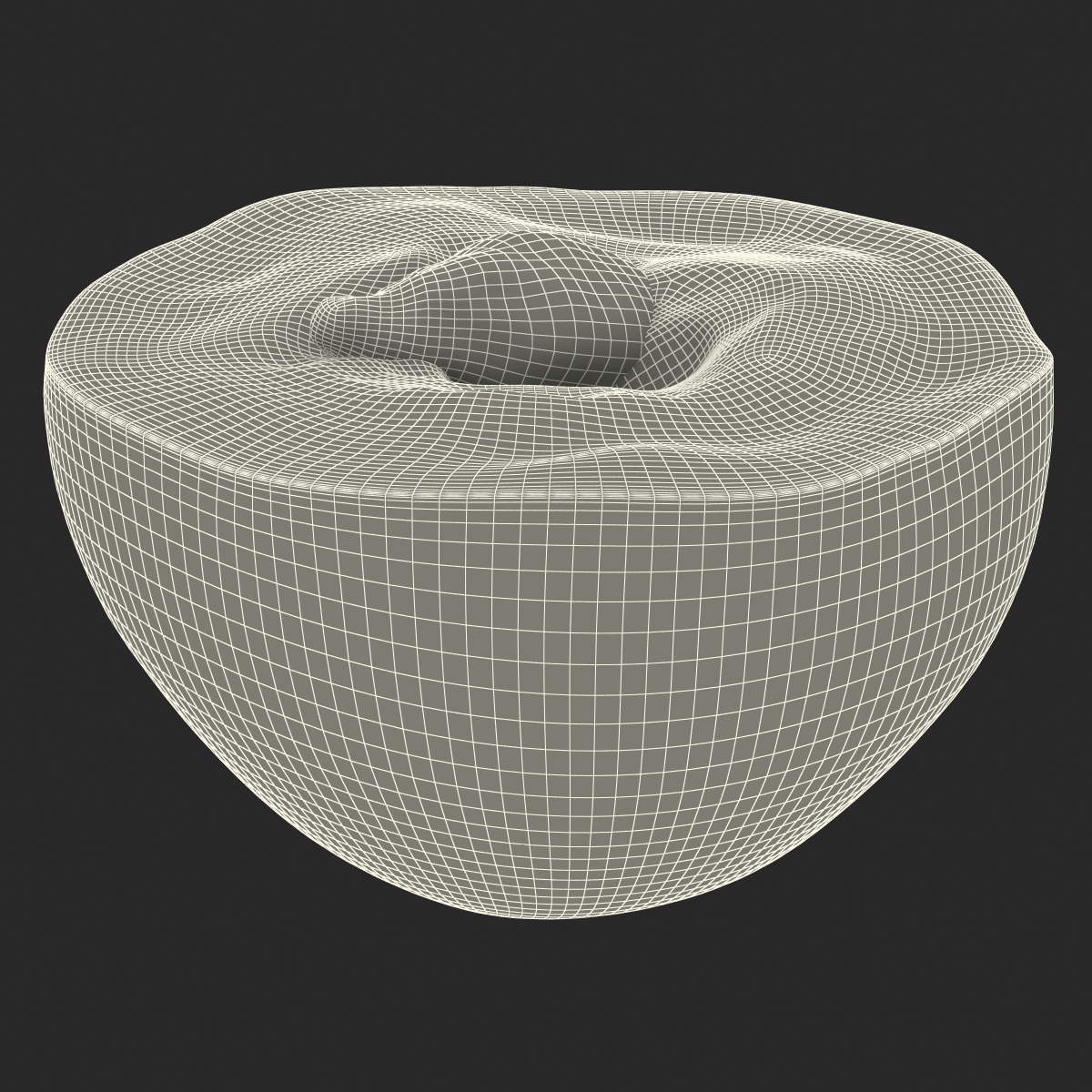 3D model Red Grape Cross Section 2