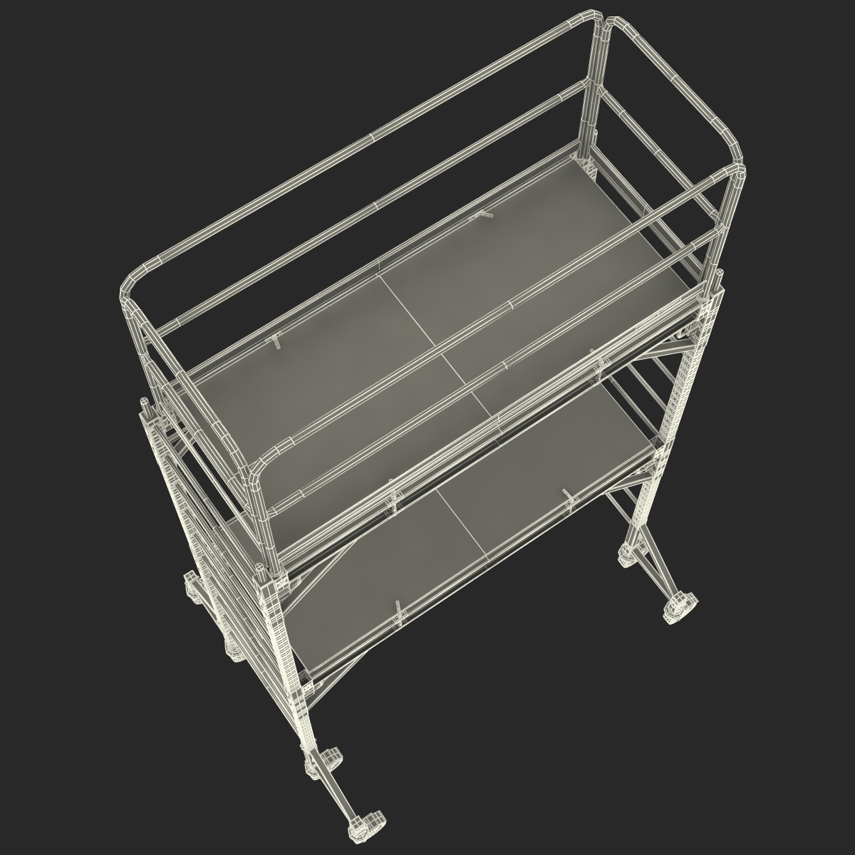 3D model Scaffold