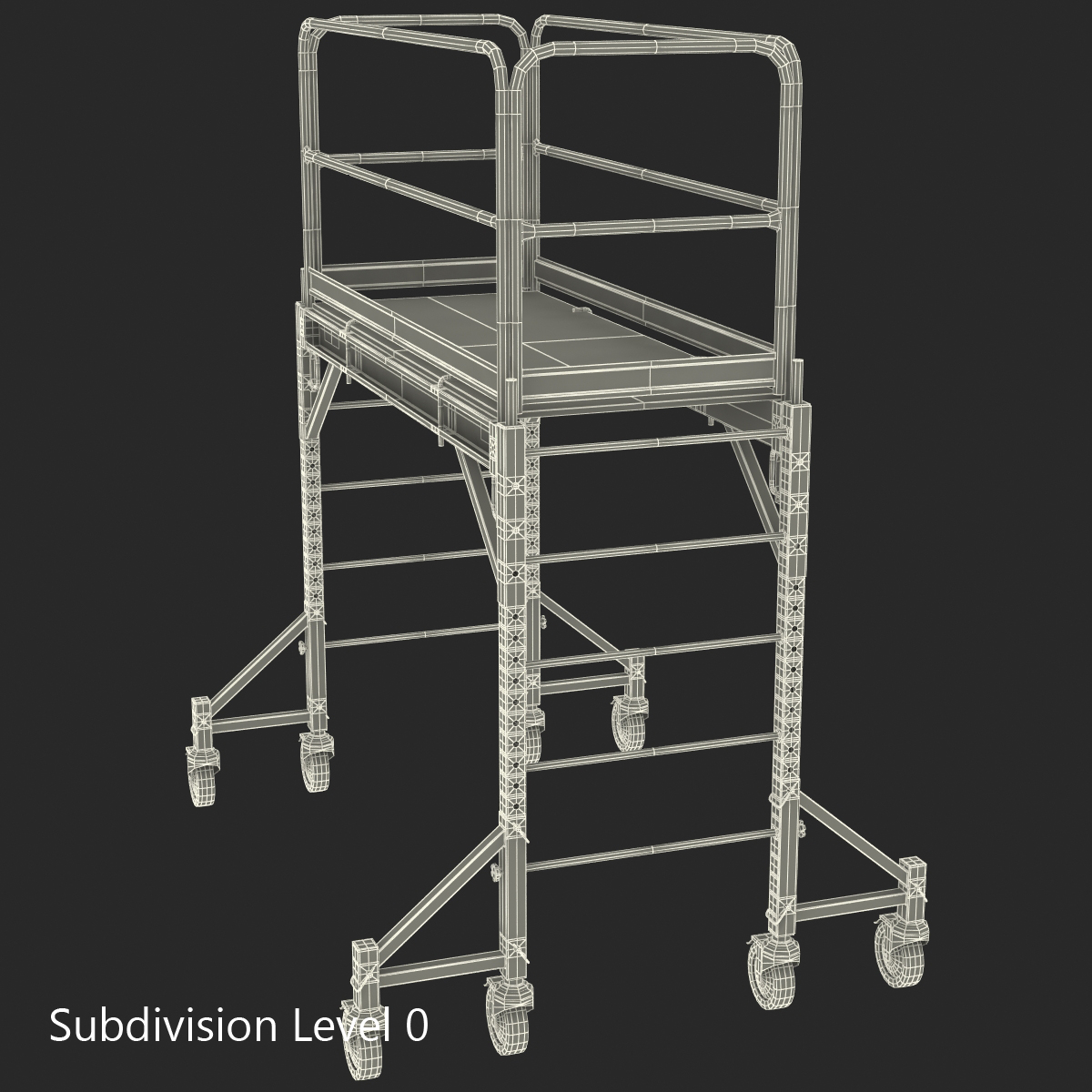 3D model Scaffold 2