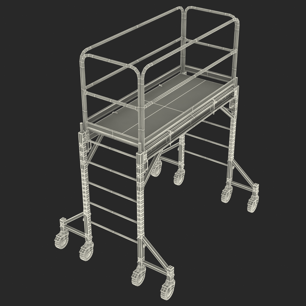 3D model Scaffold 2