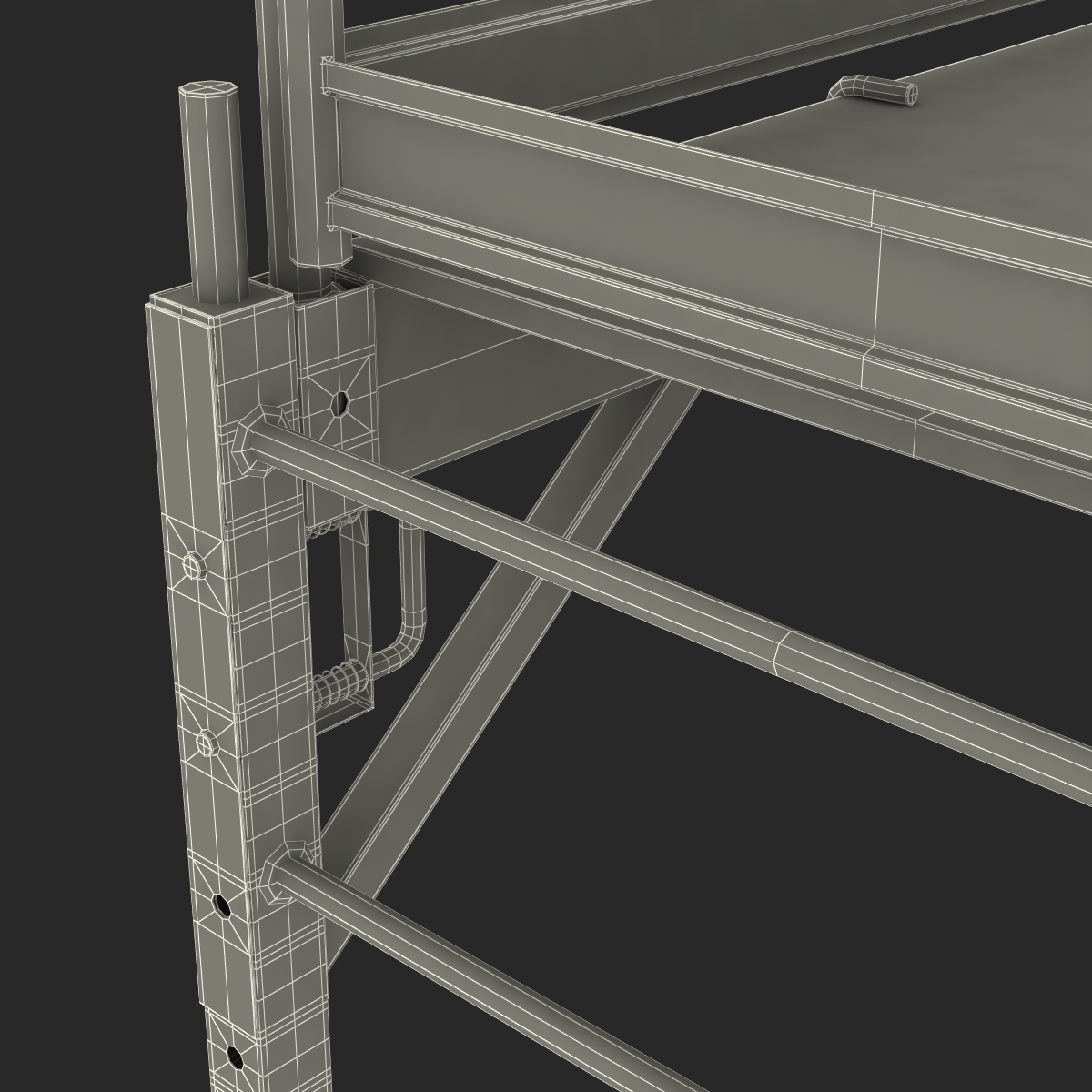 3D model Scaffold 2