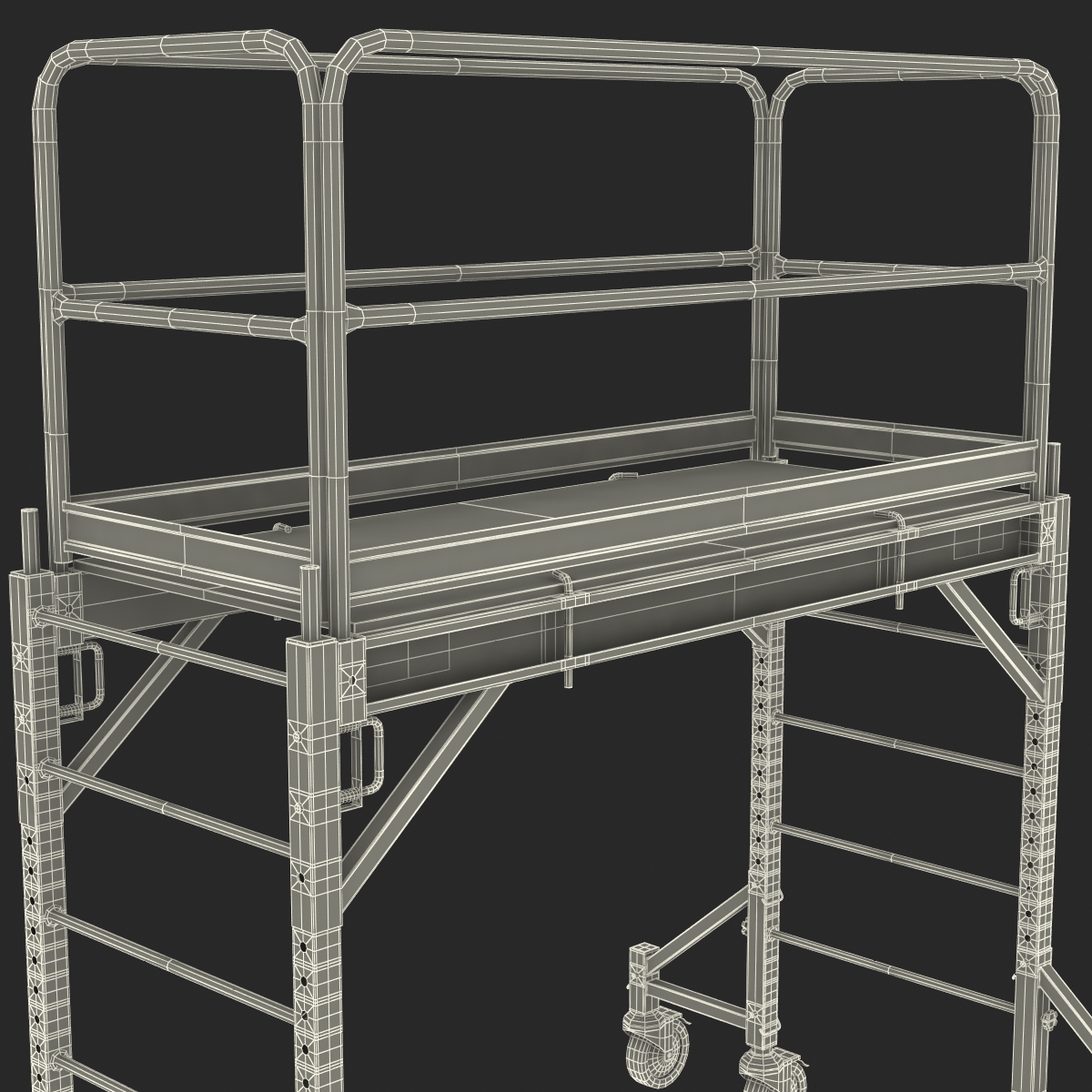 3D model Scaffold 2