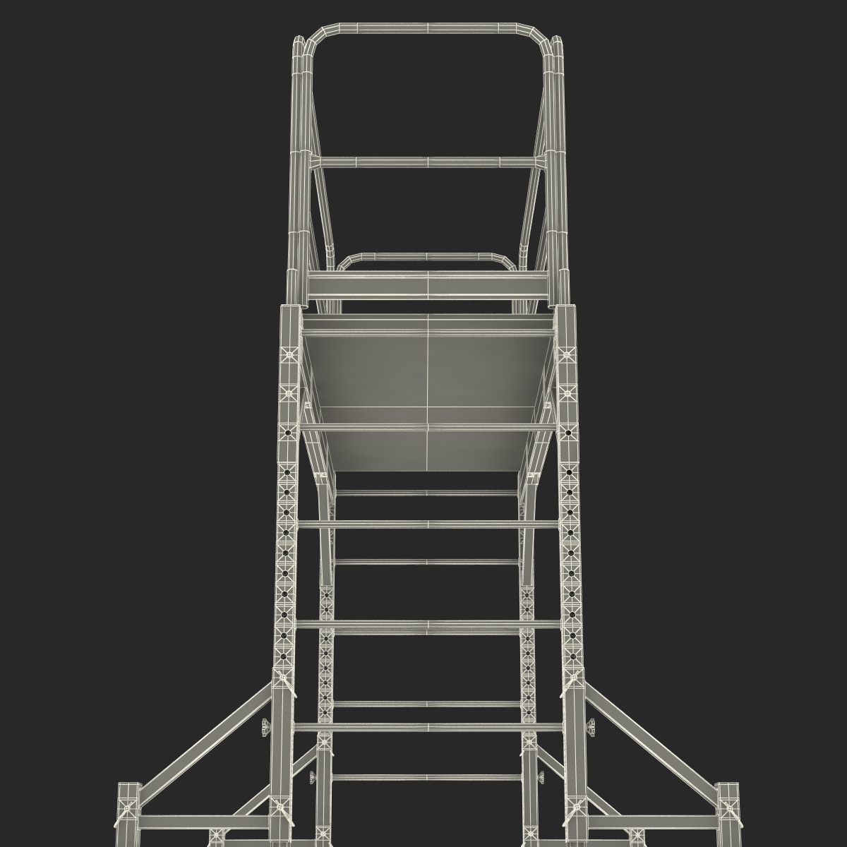 3D model Scaffold 2