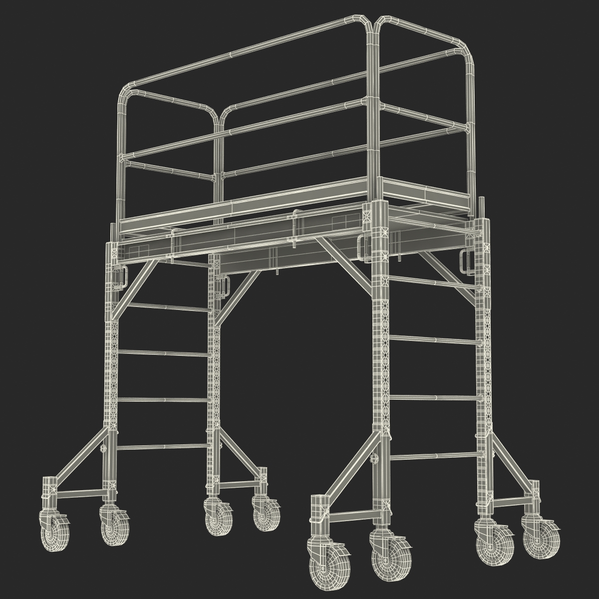 3D model Scaffold 2