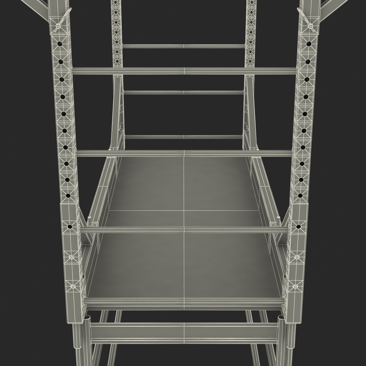 3D model Scaffold 2