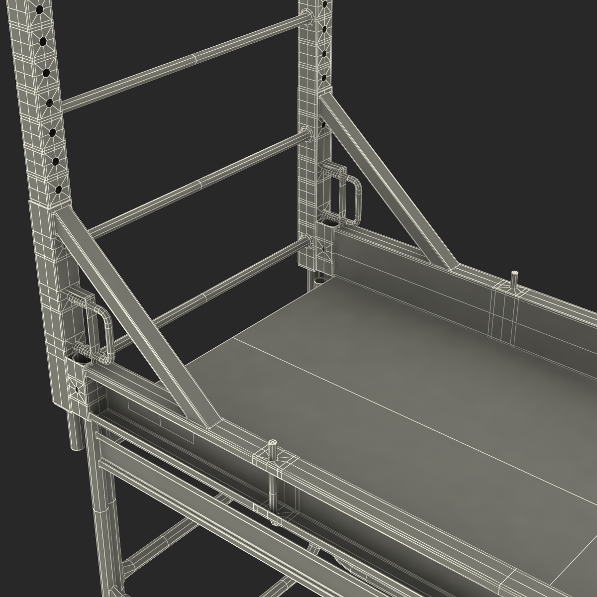 3D model Scaffold 2