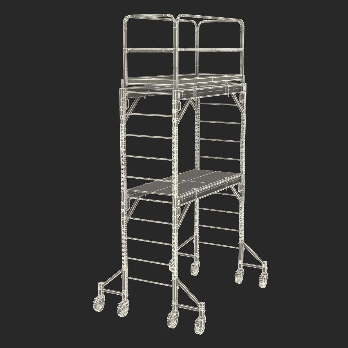 3D Scaffold Generic