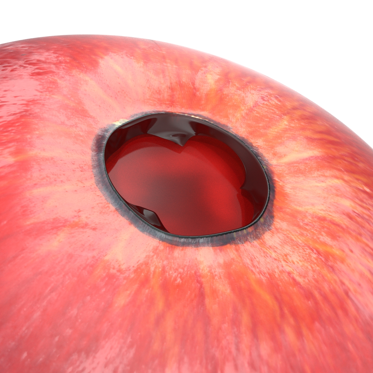 3D model Red Grape Cross Section 3