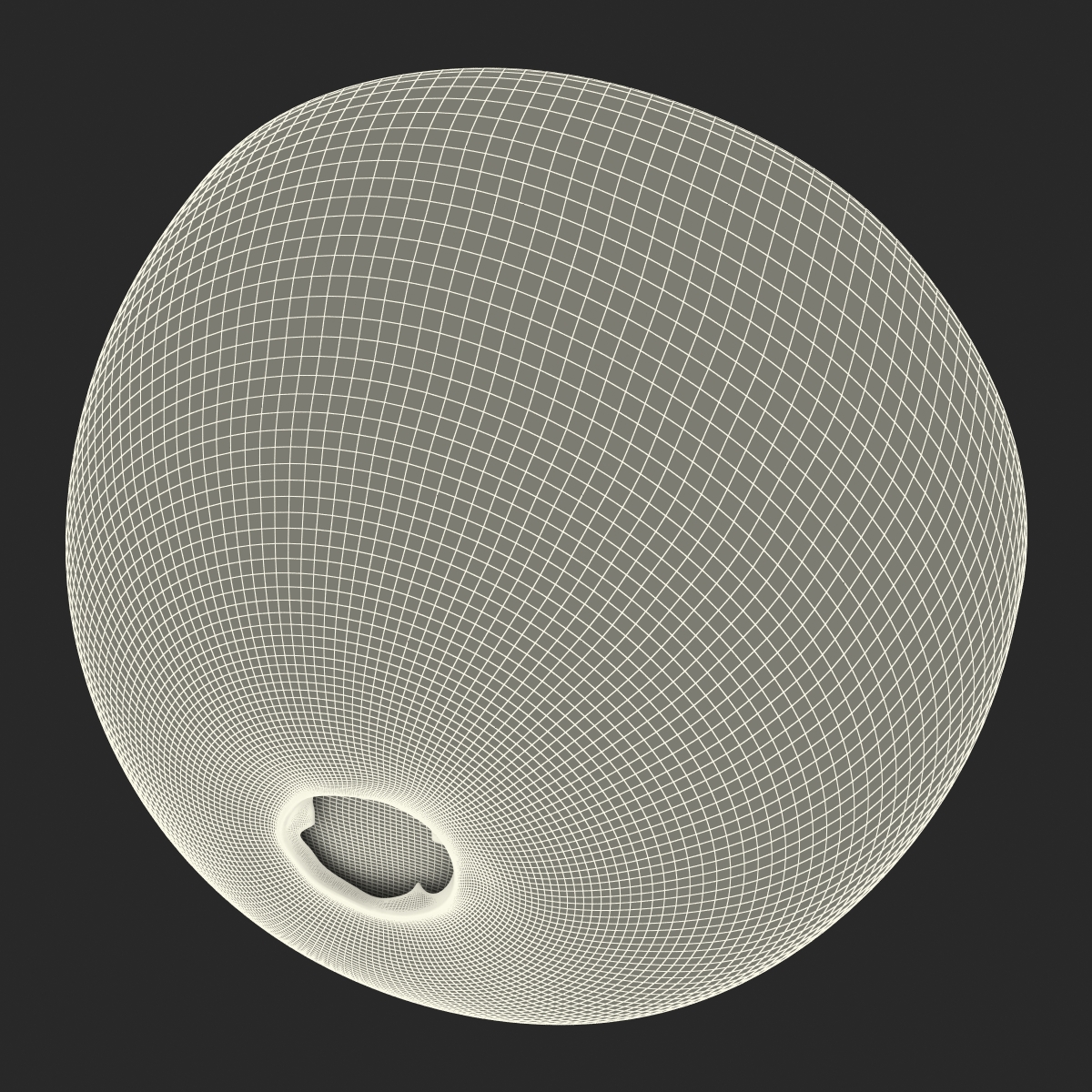 3D model Red Grape Cross Section 3