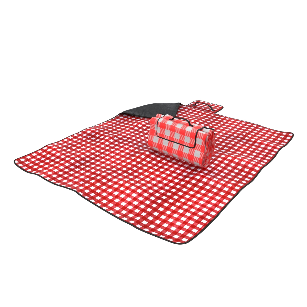 Picnic Blanket Red Set 3D