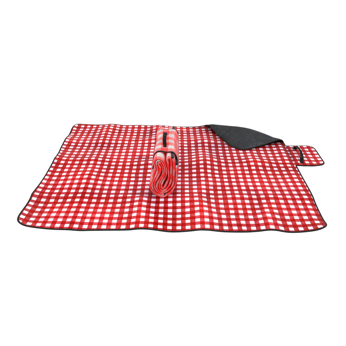 Picnic Blanket Red Set 3D