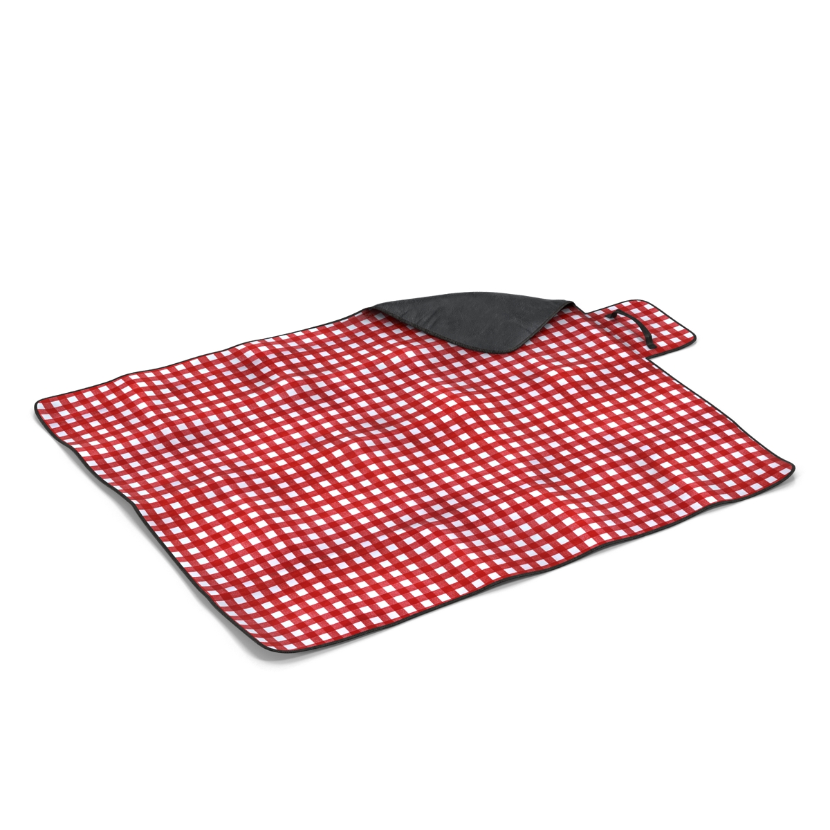 Picnic Blanket Red Set 3D