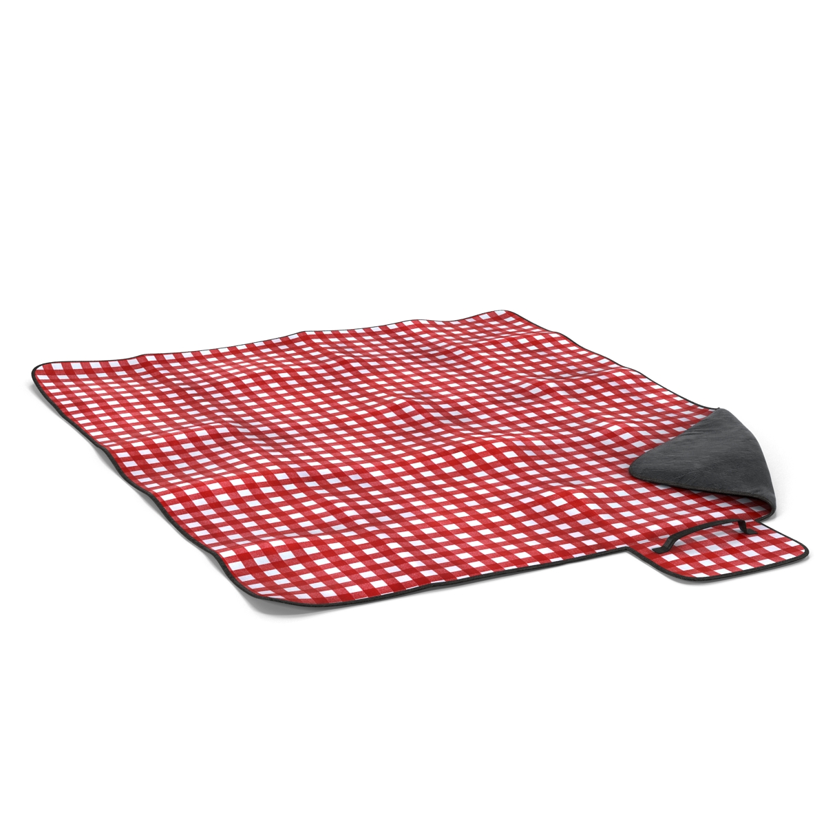 Picnic Blanket Red Set 3D