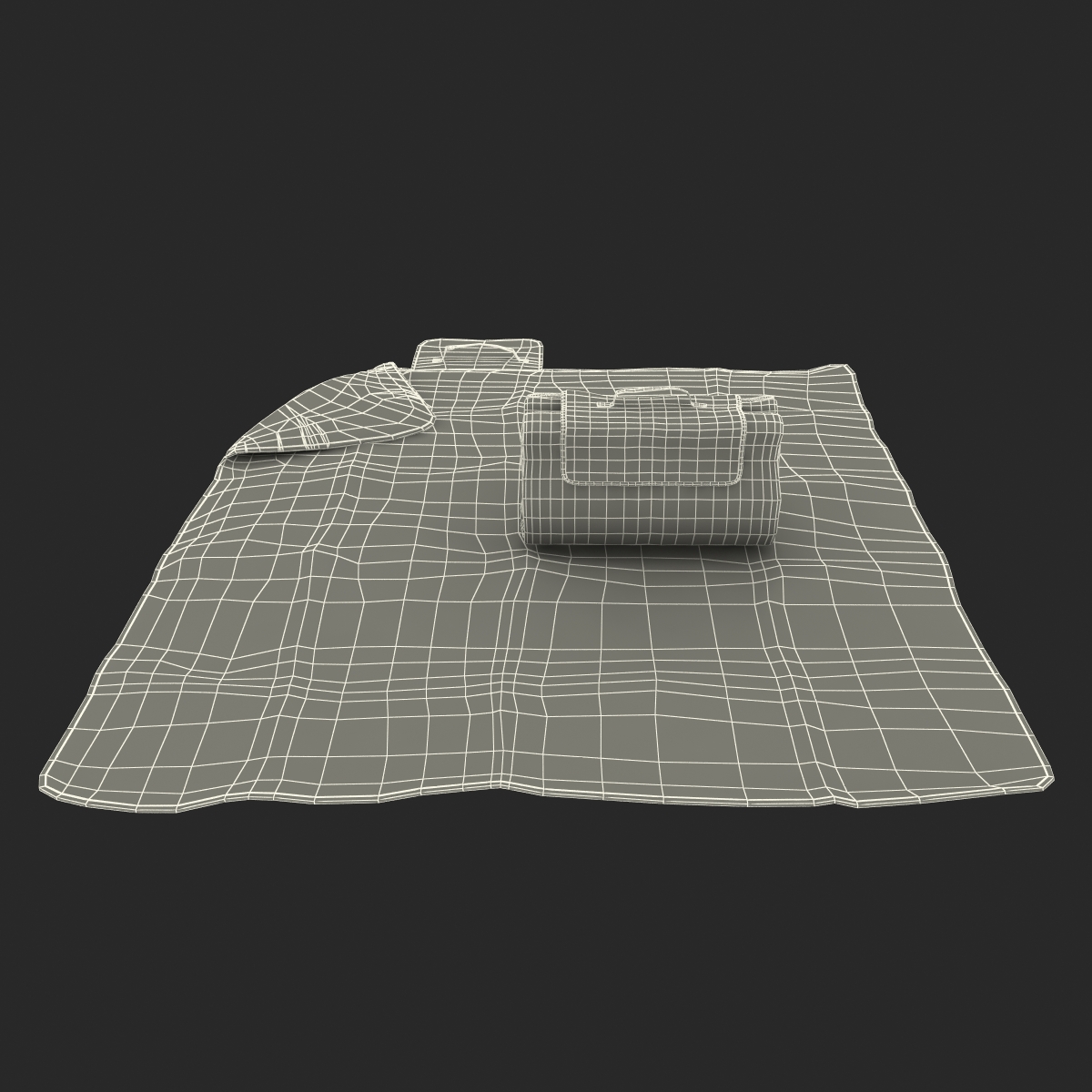 Picnic Blanket White Set 3D model