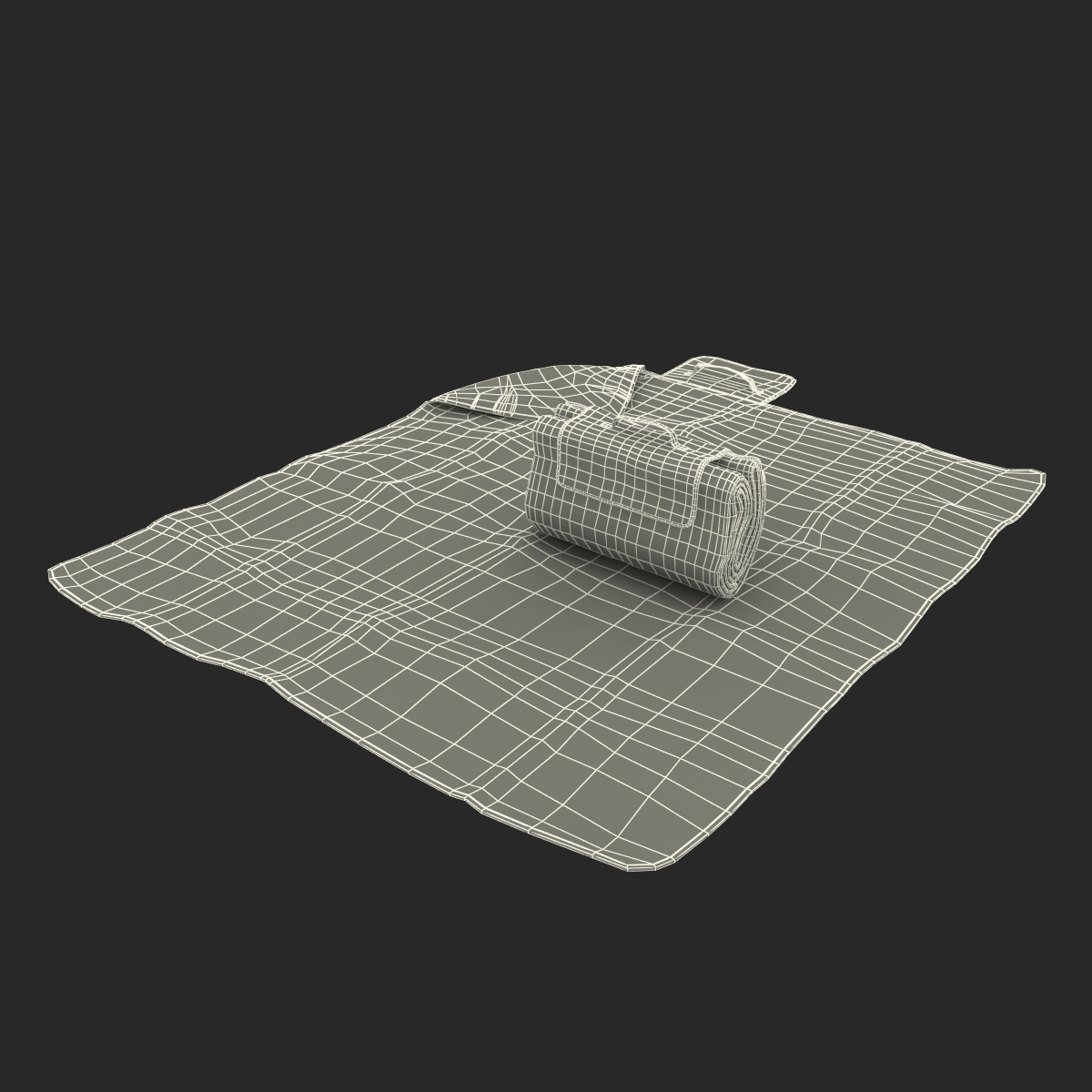 Picnic Blanket White Set 3D model