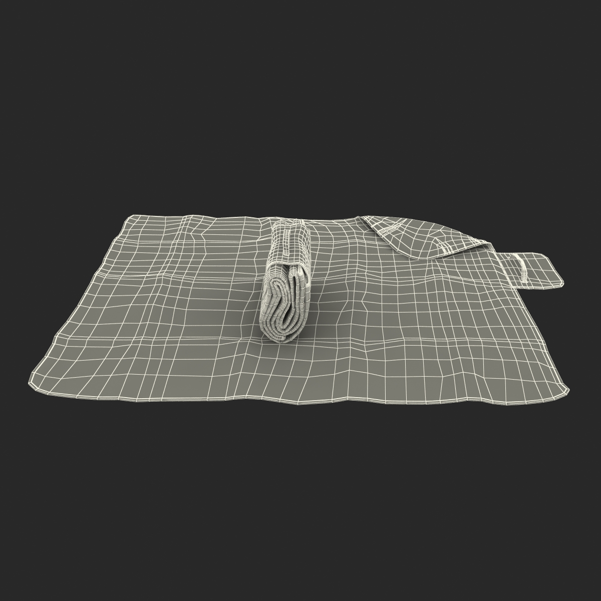 Picnic Blanket White Set 3D model