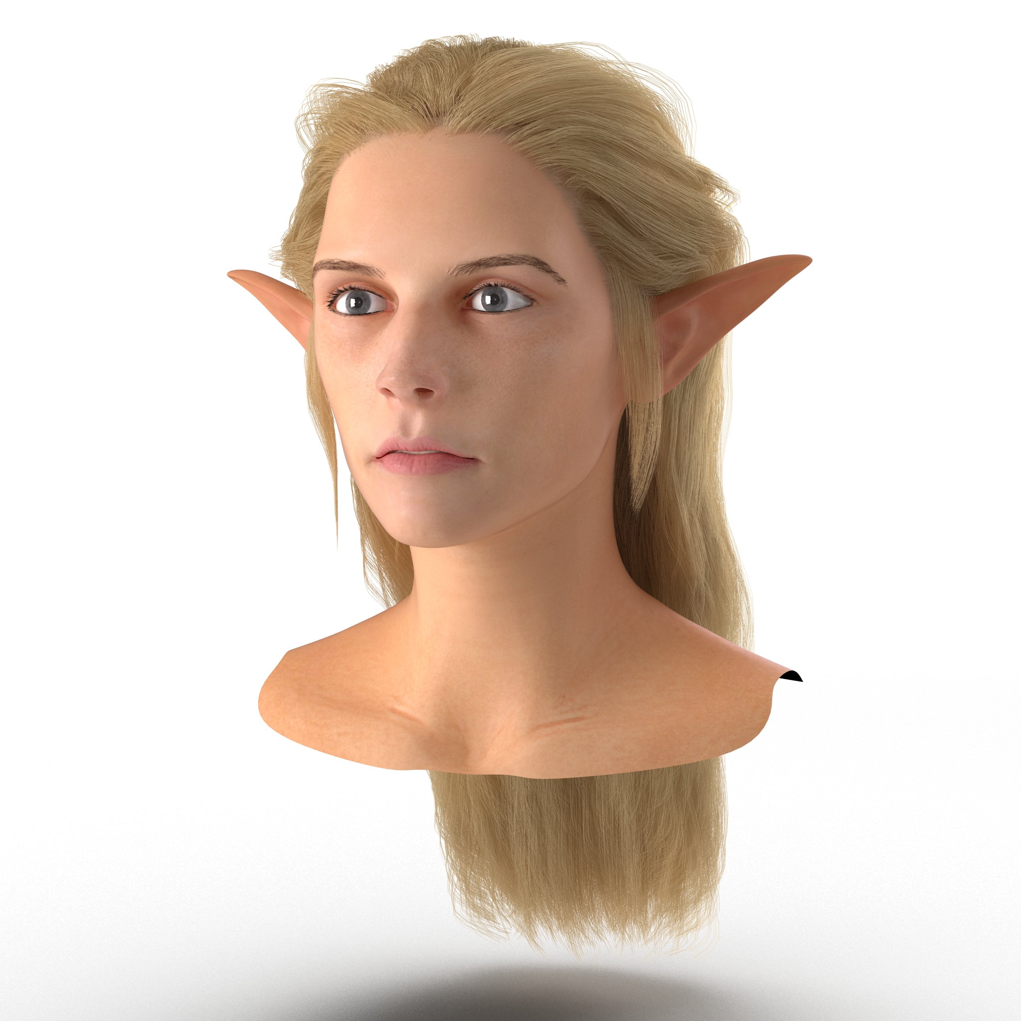 3D model Female Elf Head with Hair