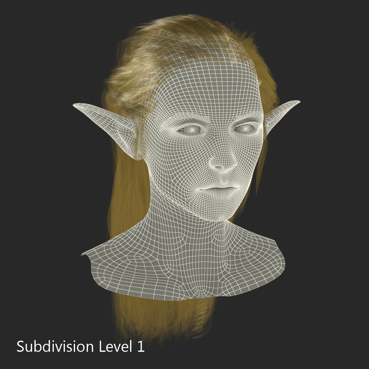 3D model Female Elf Head with Hair