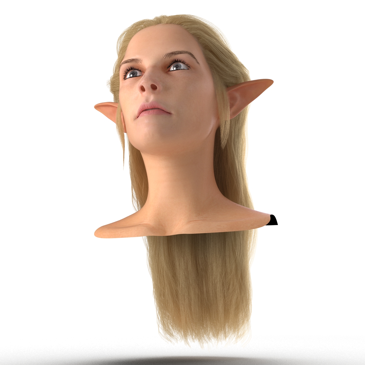 3D model Female Elf Head with Hair