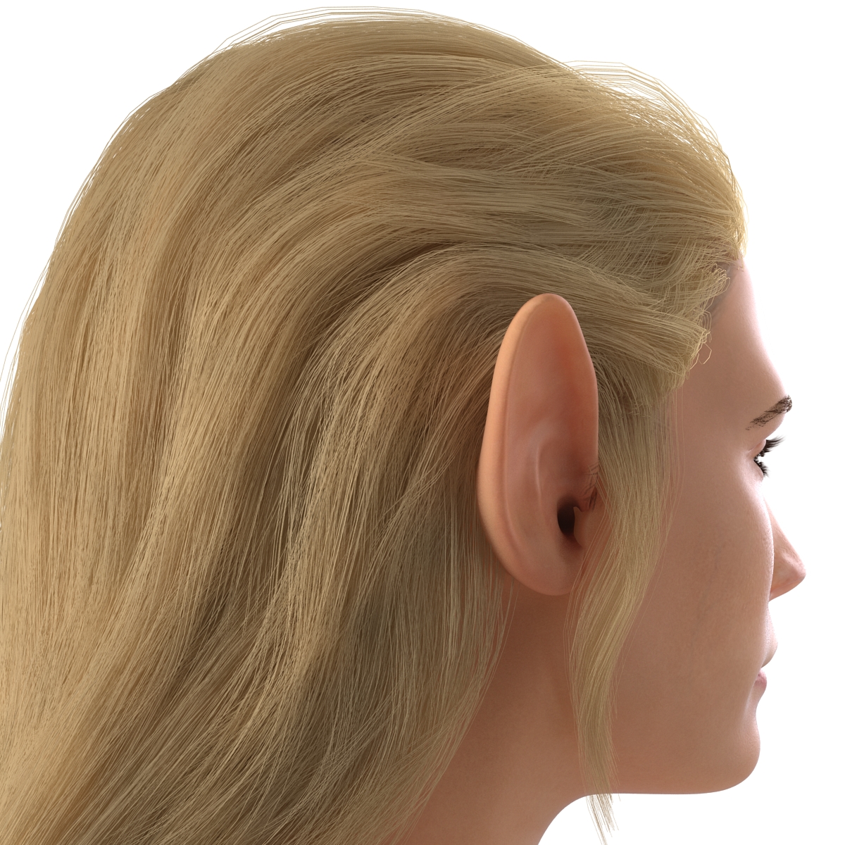 3D model Female Elf Head with Hair