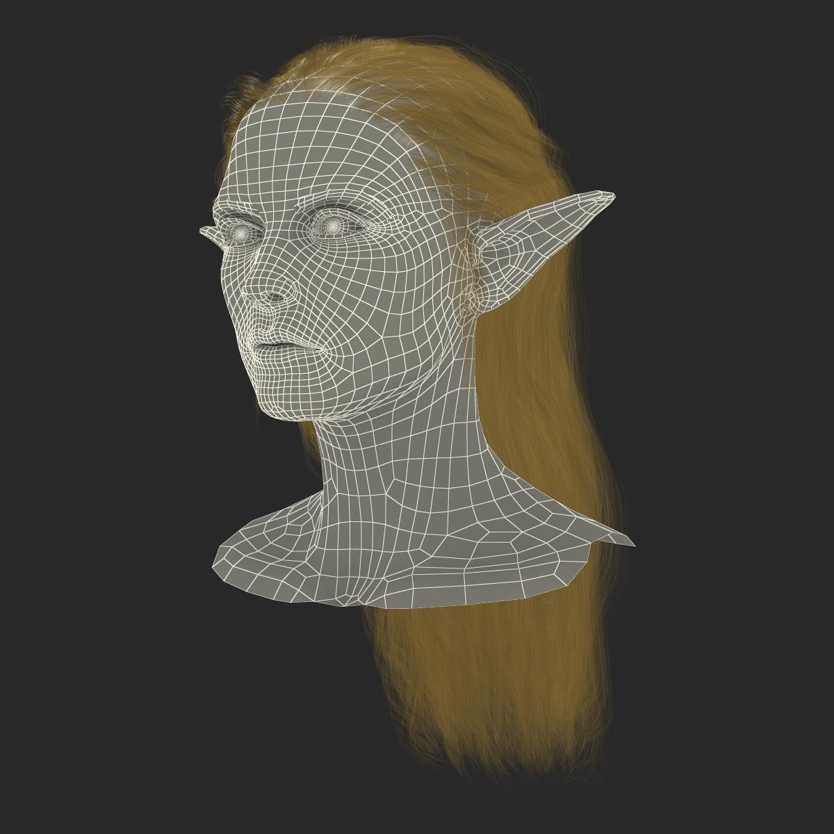 3D model Female Elf Head with Hair