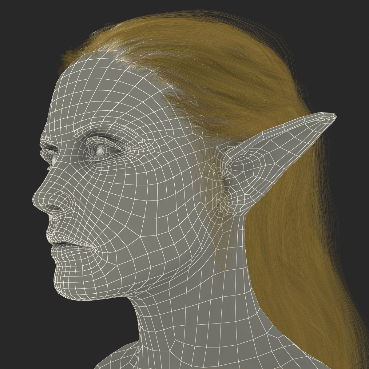 3D model Female Elf Head with Hair