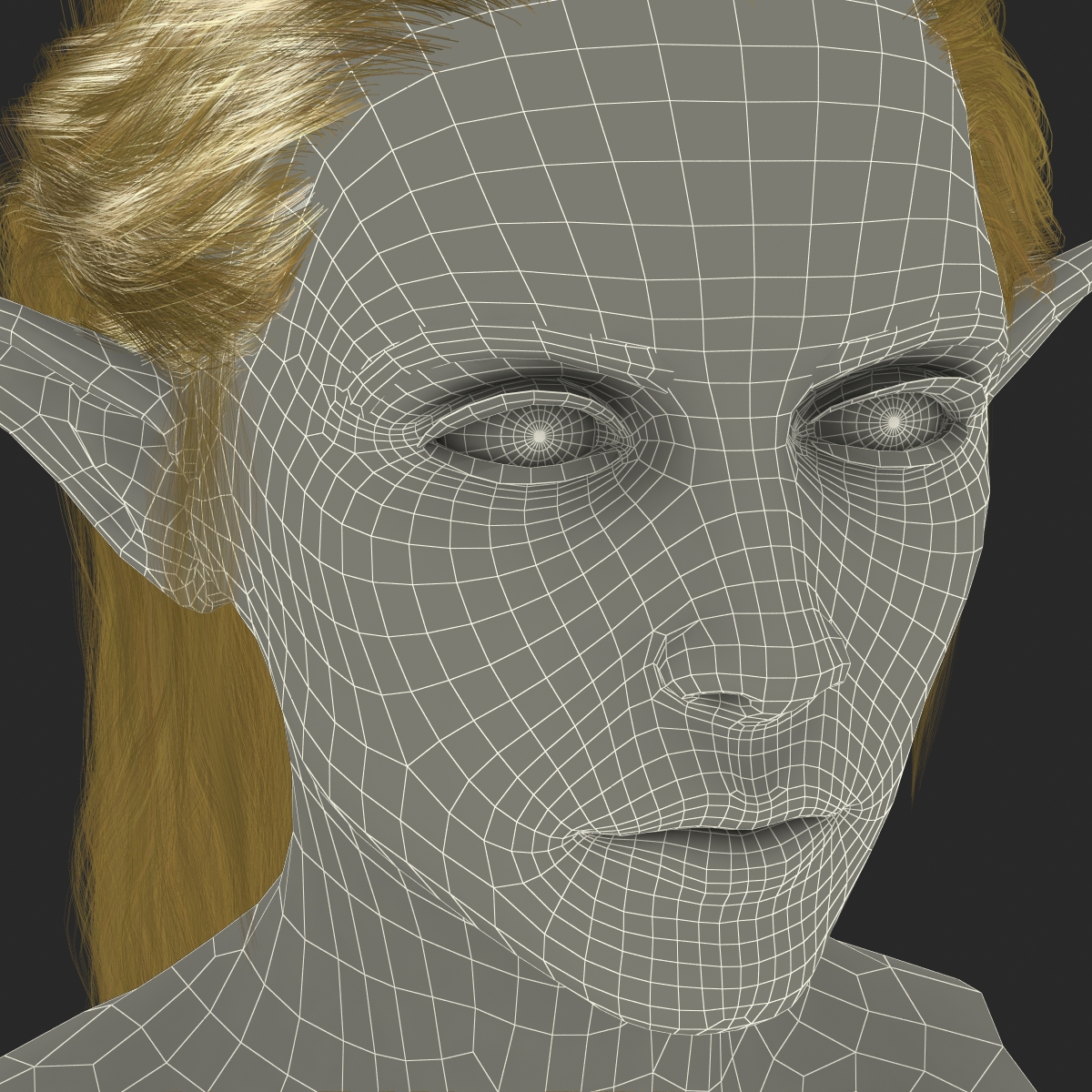 3D model Female Elf Head with Hair