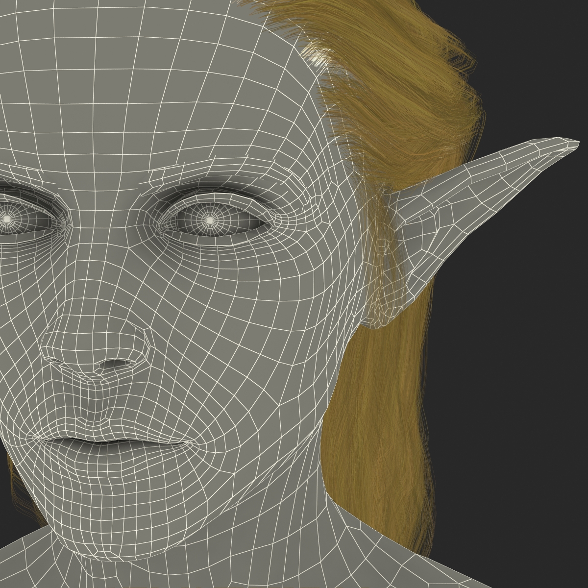 3D model Female Elf Head with Hair